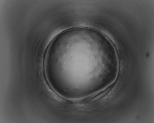X0000093531048200710191349
