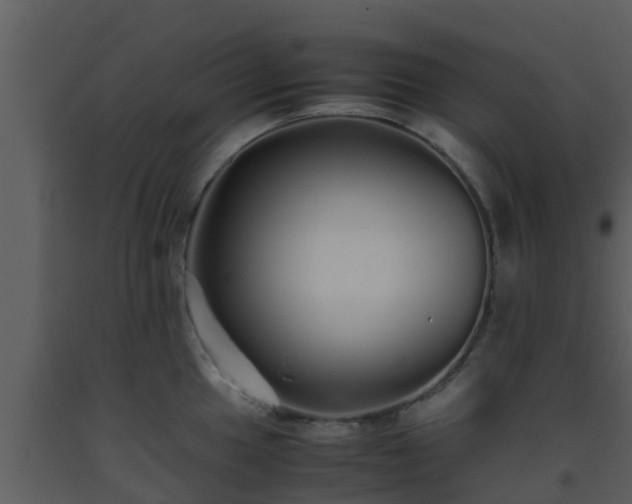 X0000093531049200710191349