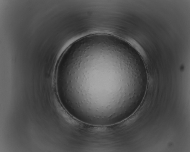 X0000093531052200710191349