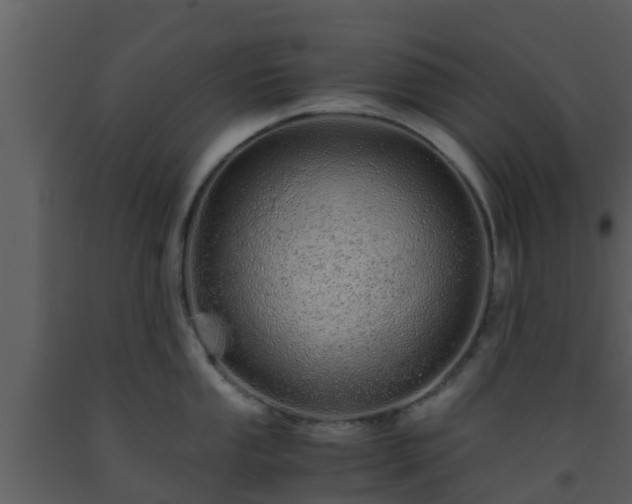 X0000093531053200710191349