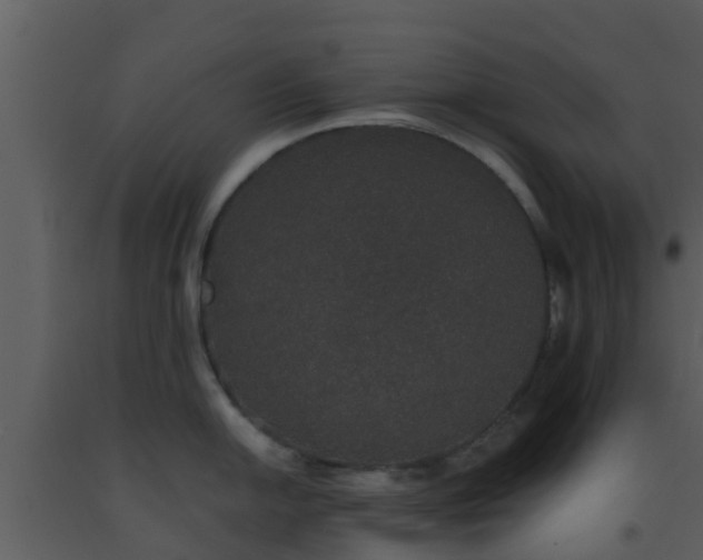 X0000093531054200710191349
