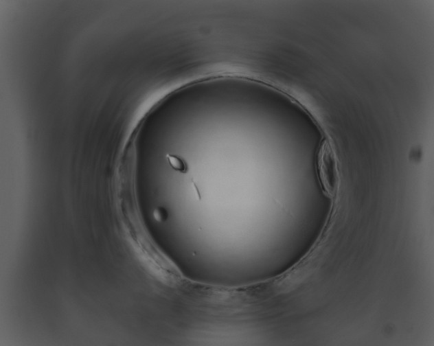 X0000093531056200710191349