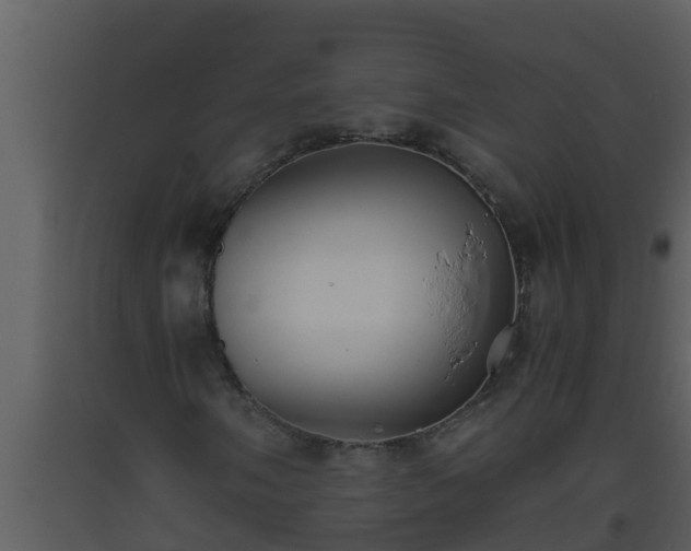 X0000093531058200710191349