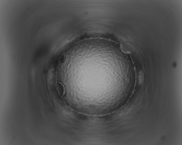 X0000093531059200710191349
