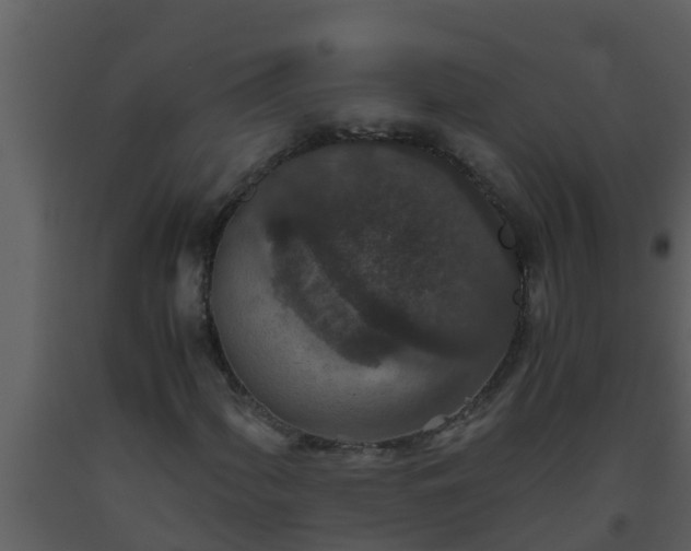 X0000093531060200710191349