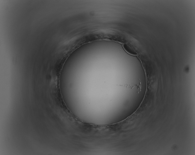 X0000093531061200710191349