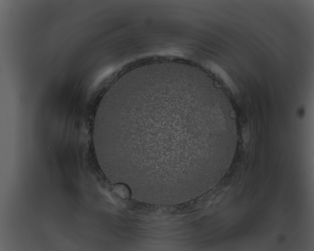 X0000093531064200710191349