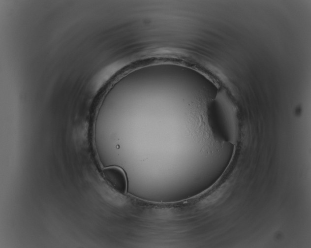 X0000093531066200710191348
