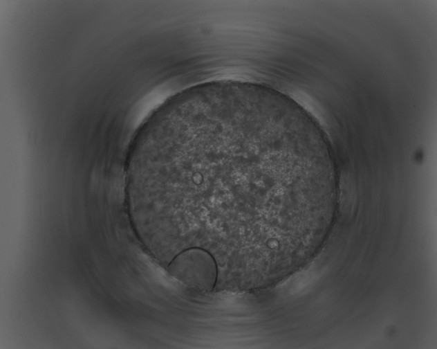 X0000093531067200710191348