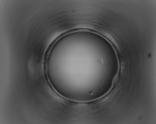 X0000093531068200710191348