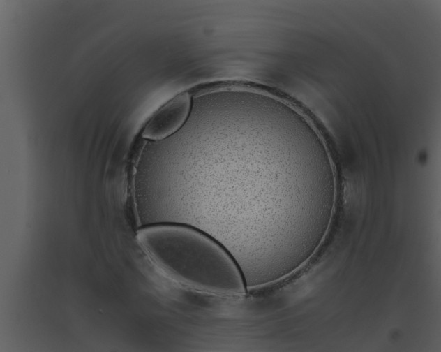 X0000093531069200710191348