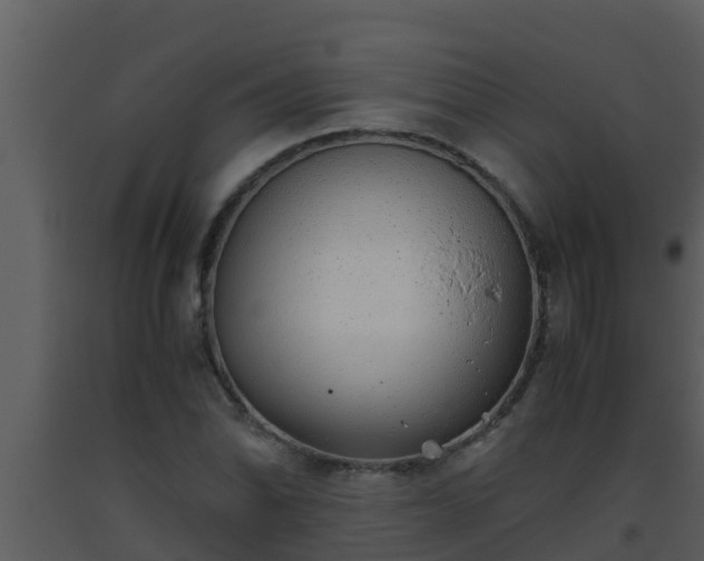 X0000093531070200710191348