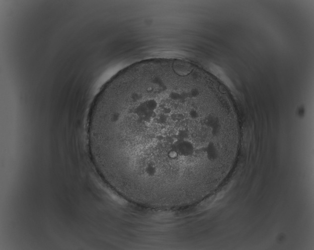 X0000093531071200710191348