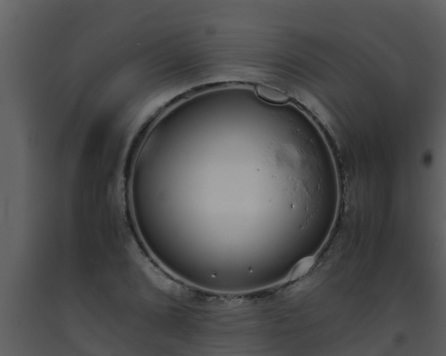 X0000093531072200710191348