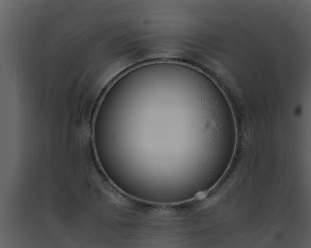X0000093531073200710191348