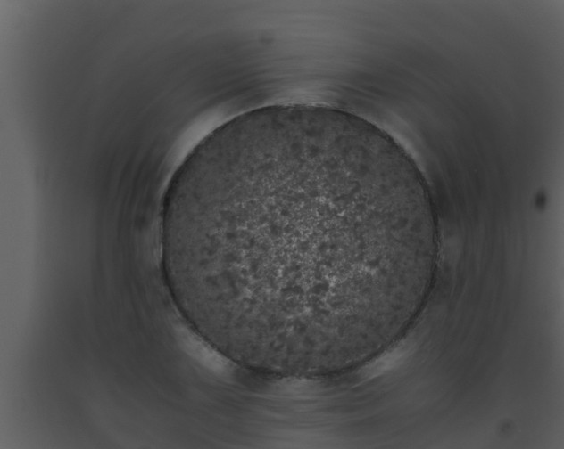X0000093531075200710191348