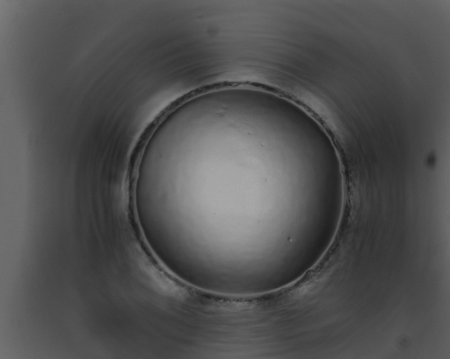 X0000093531076200710191348