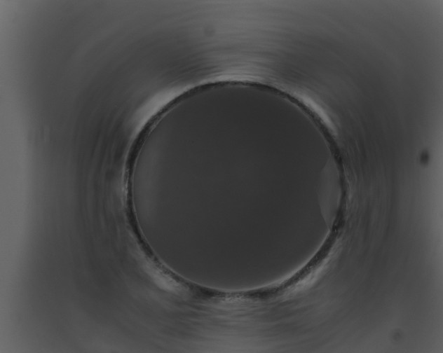 X0000093531077200710191348