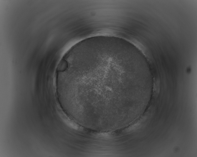 X0000093531078200710191348