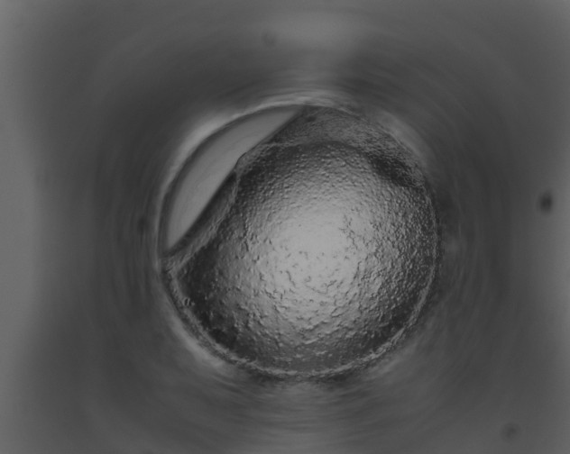 X0000093531079200710191348
