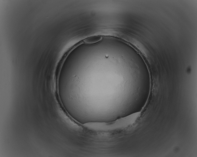 X0000093531080200710191348