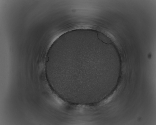 X0000093531081200710191348