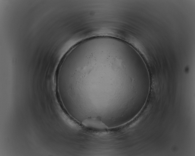 X0000093531082200710191348