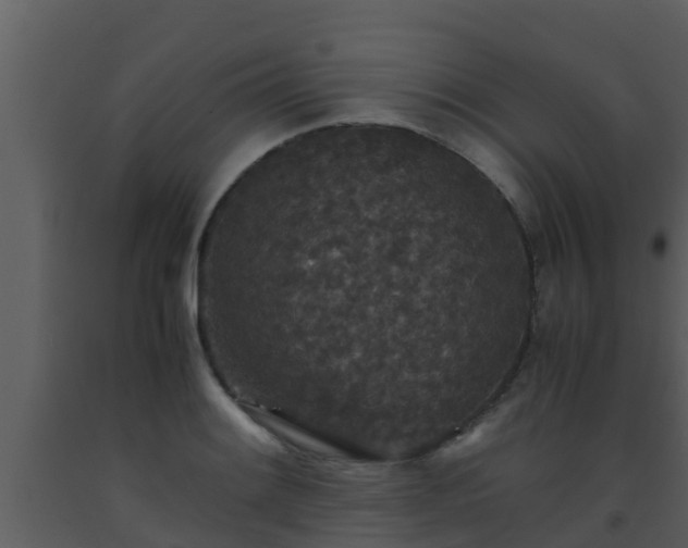 X0000093531084200710191348