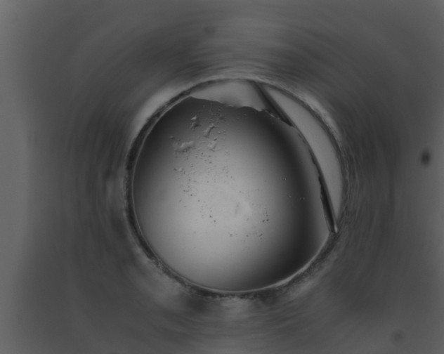 X0000093531085200710191348