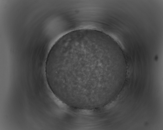 X0000093531086200710191348
