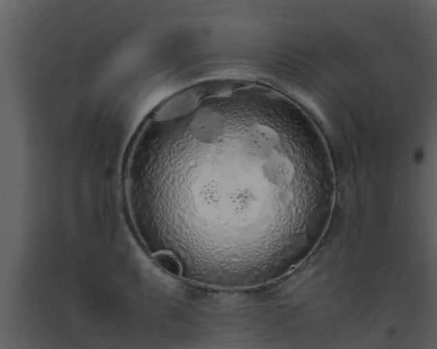 X0000093531087200710191348