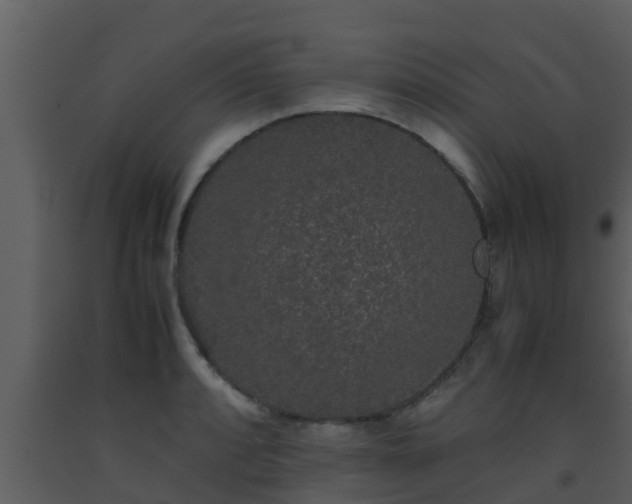 X0000093531088200710191348