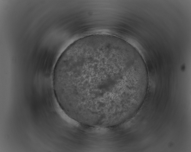 X0000093531090200710191348