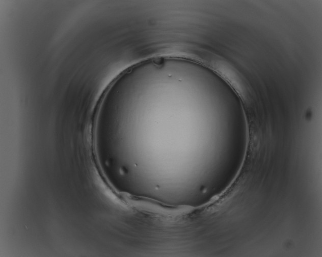 X0000093531092200710191348