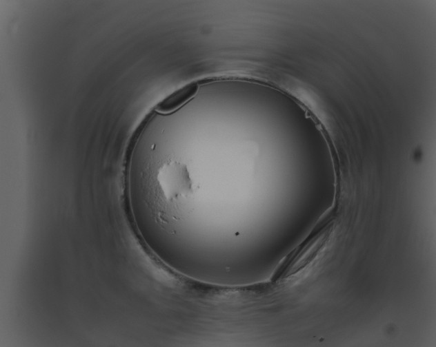X0000093531093200710191348