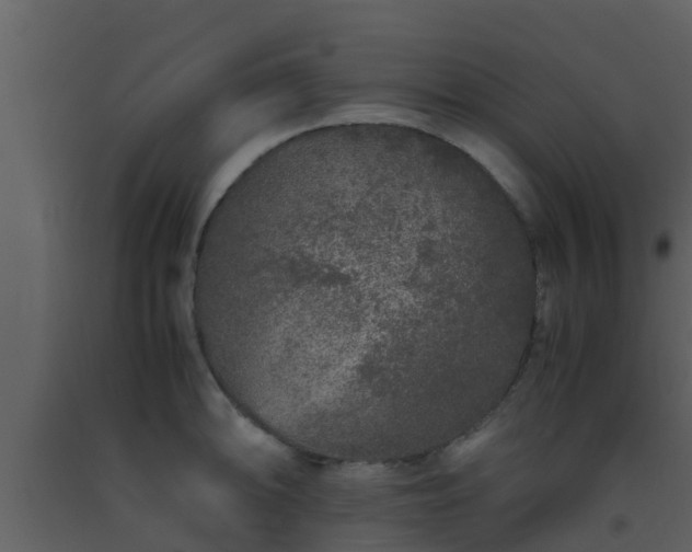 X0000093531094200710191348