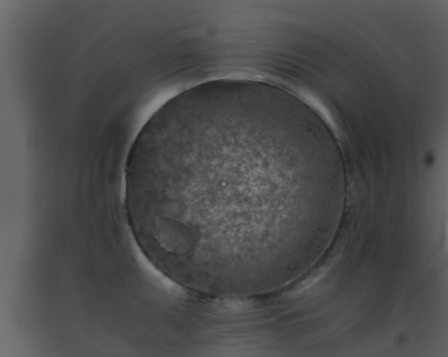 X0000093531095200710191348