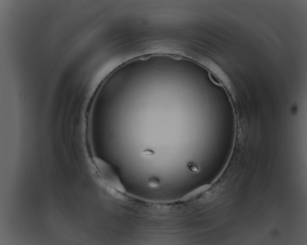 X0000093531096200710191348