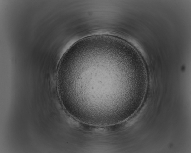 X0000093531097200710191348