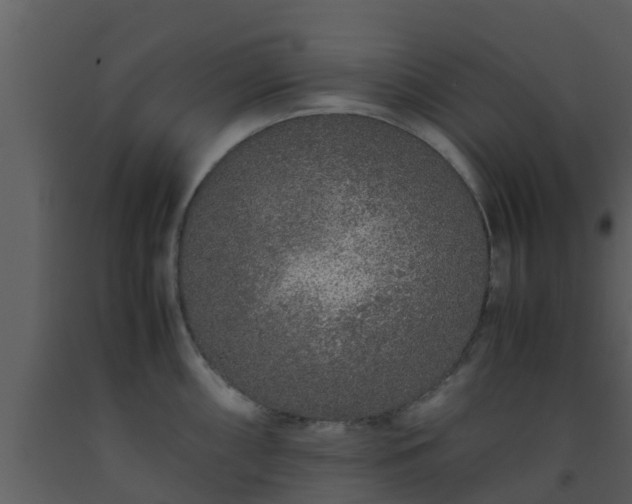 X0000093531098200710191348