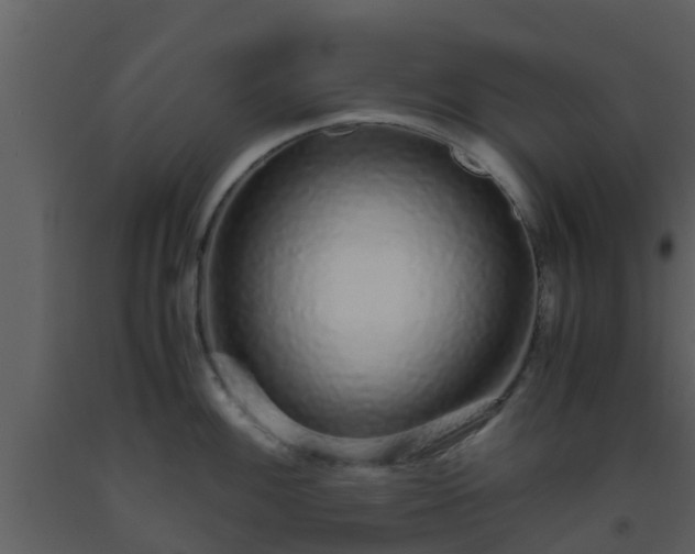 X0000093531100200710191348