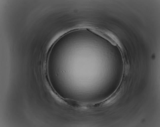 X0000093531101200710191348