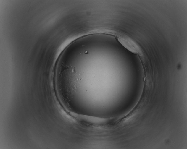 X0000093531102200710191348