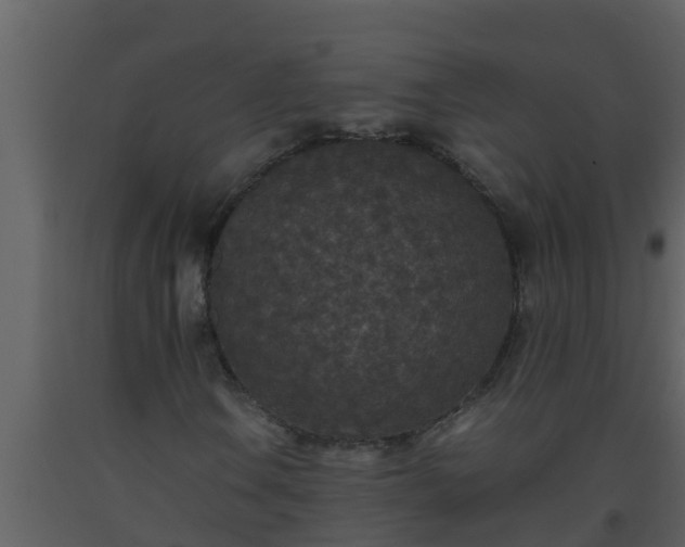 X0000093531106200710191347