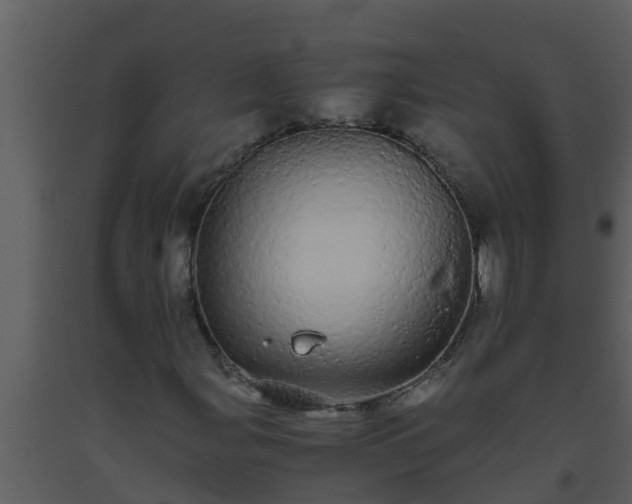 X0000093531107200710191347