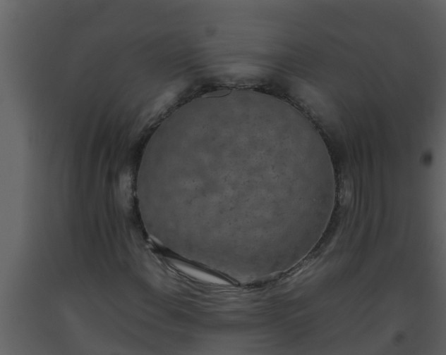 X0000093531108200710191347