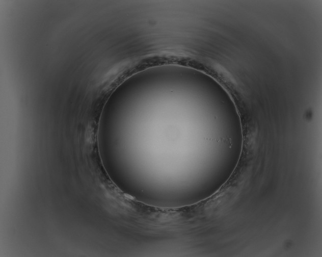 X0000093531110200710191347