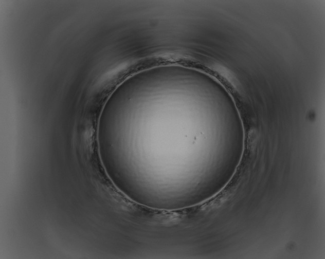 X0000093531111200710191347