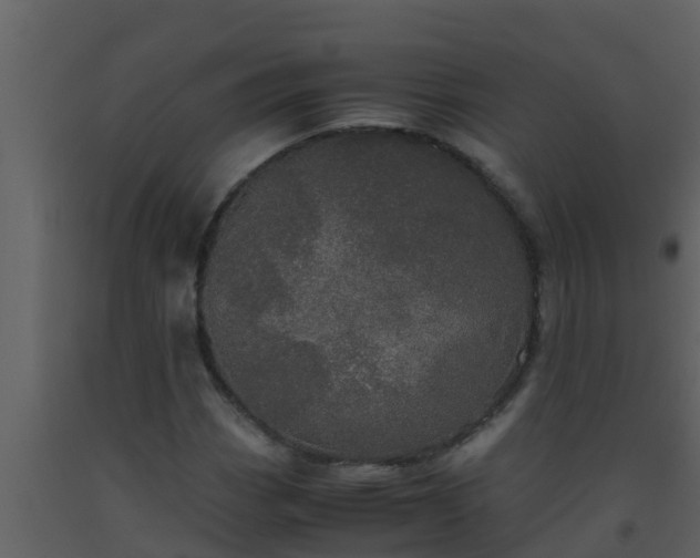 X0000093531113200710191348
