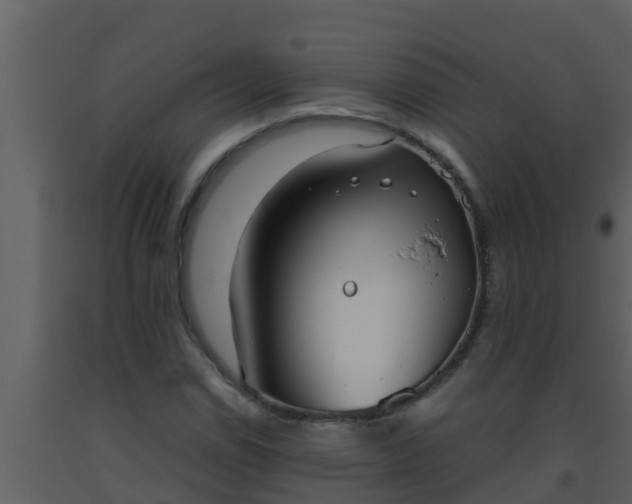 X0000093531114200710191348